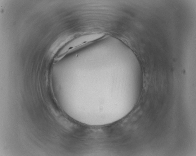 X0000060740194200512081926