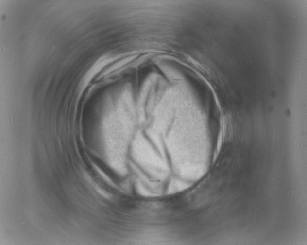 X0000060740195200512081926