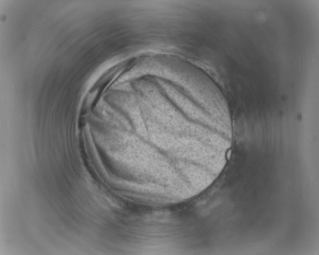 X0000060740196200512081926