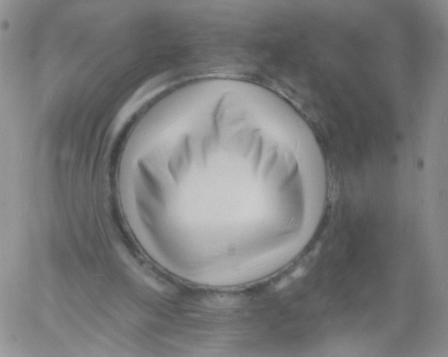 X0000060740198200512081926