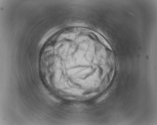 X0000060740199200512081926