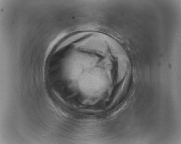 X0000060740200200512081926