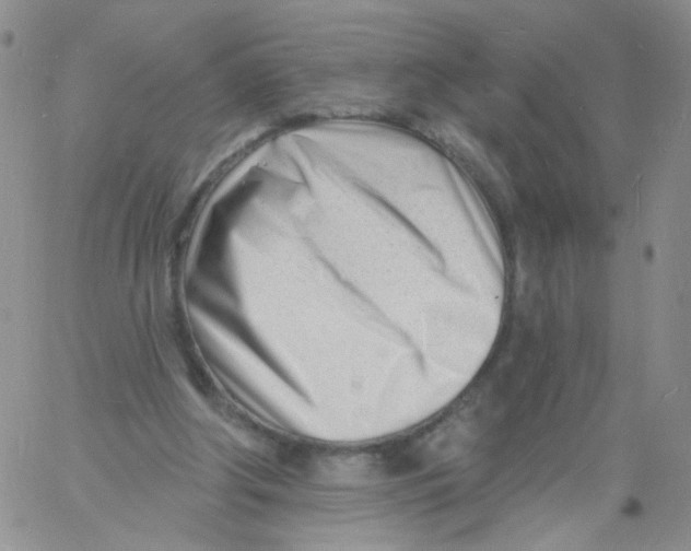 X0000060740202200512081926