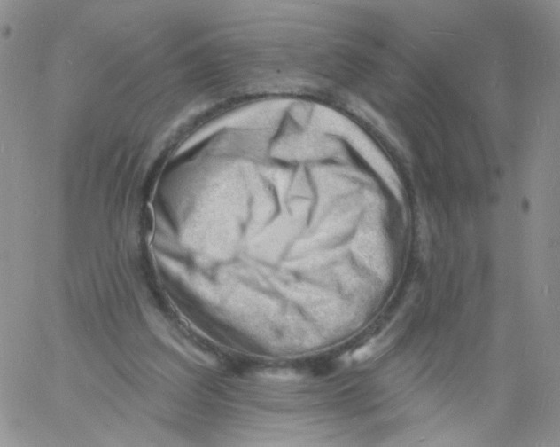 X0000060740203200512081926