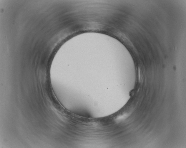 X0000060740204200512081926