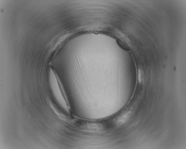 X0000060740205200512081926