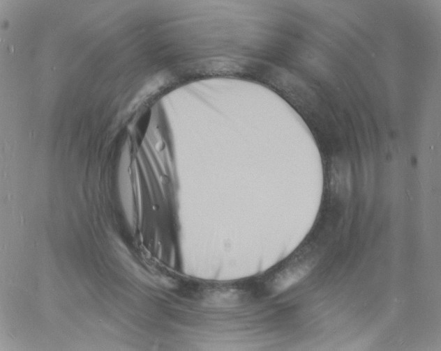 X0000060740206200512081926