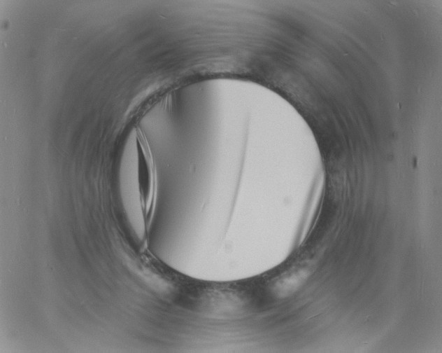 X0000060740207200512081926