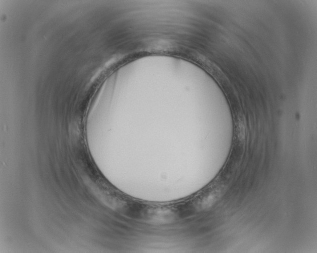 X0000060740208200512081926