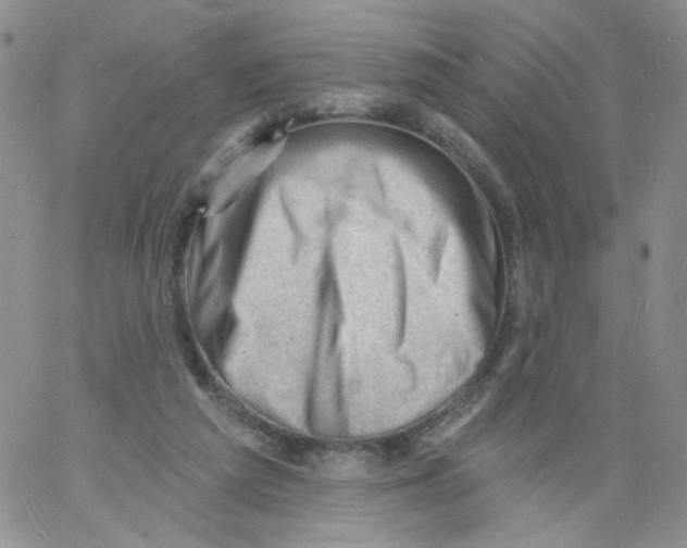 X0000060740209200512081926