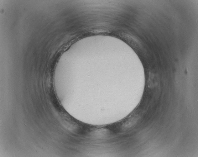 X0000060740210200512081926