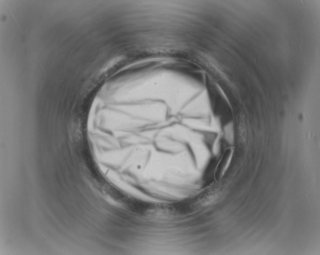 X0000060740211200512081926