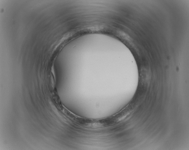 X0000060740212200512081926