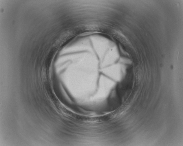 X0000060740213200512081926