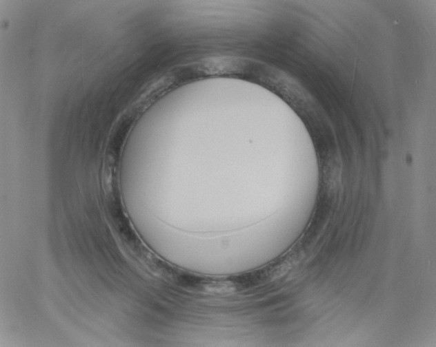 X0000060740214200512081926