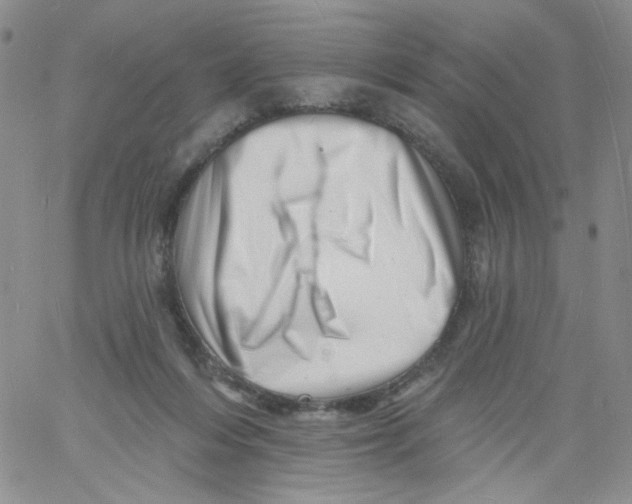 X0000060740216200512081926