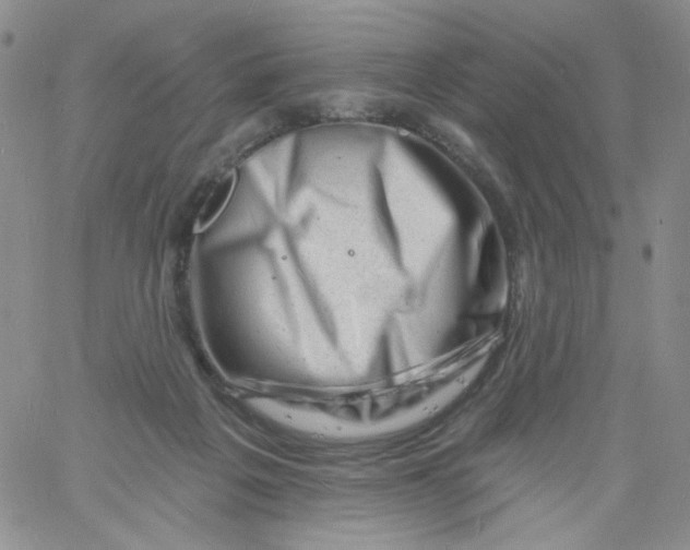 X0000060740217200512081926