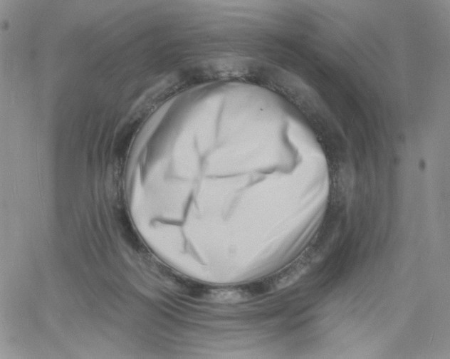 X0000060740218200512081926