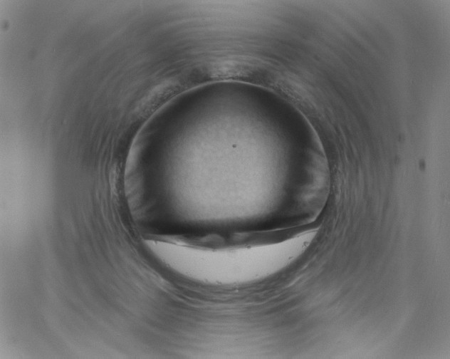 X0000060740219200512081926