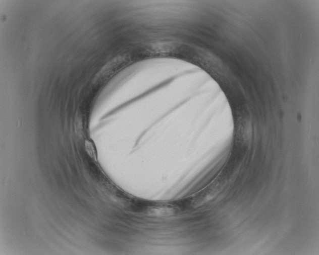 X0000060740220200512081926