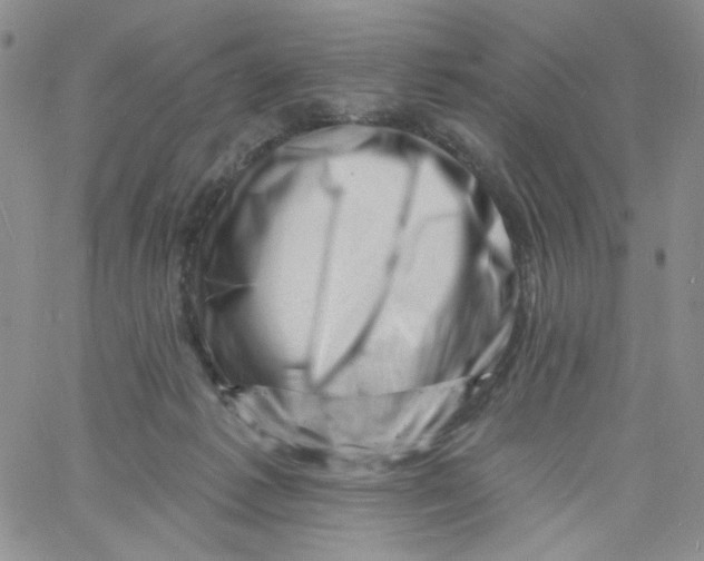 X0000060740221200512081926