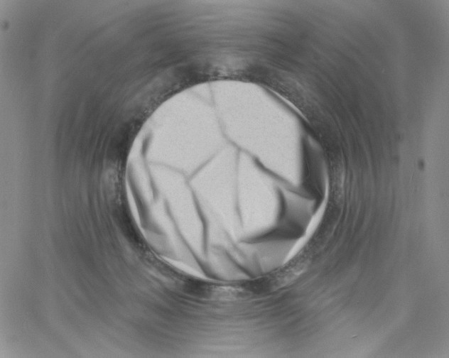 X0000060740222200512081926