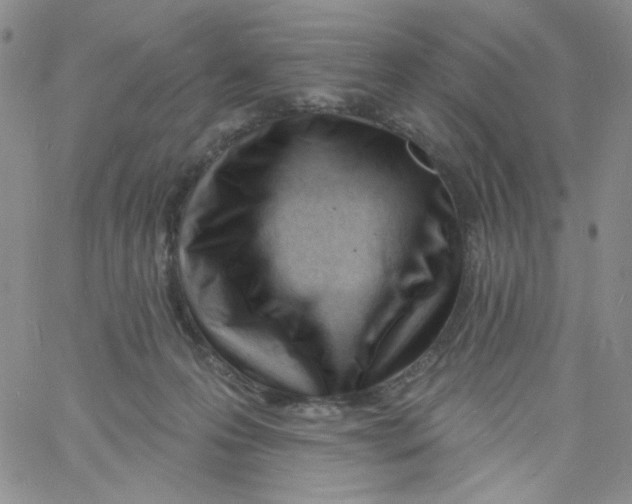 X0000060740223200512081926