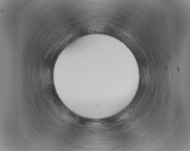 X0000060740224200512081926