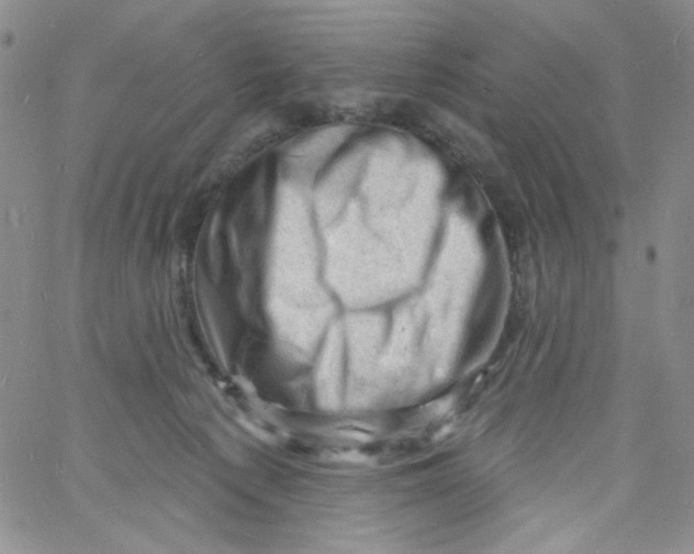 X0000060740225200512081926