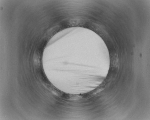 X0000060740226200512081926