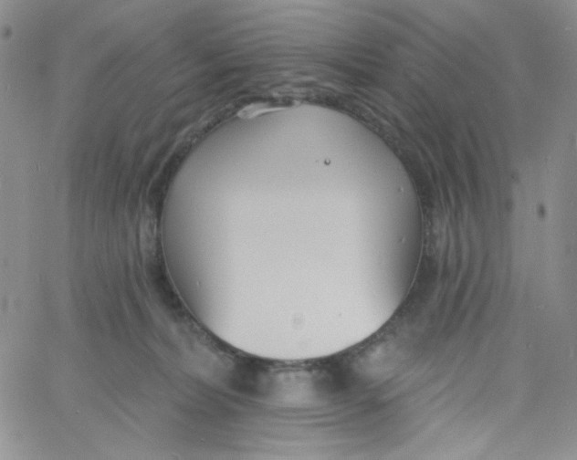 X0000060740228200512081926