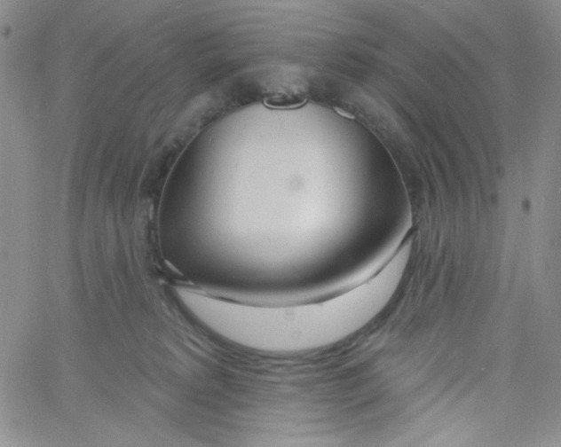 X0000060740229200512081926