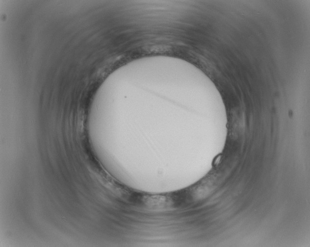 X0000060740230200512081926