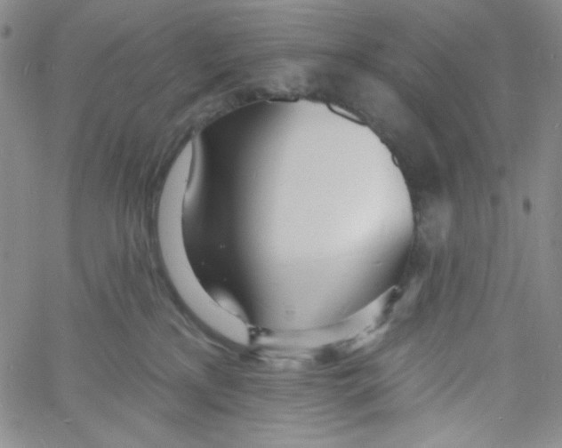 X0000060740233200512081926