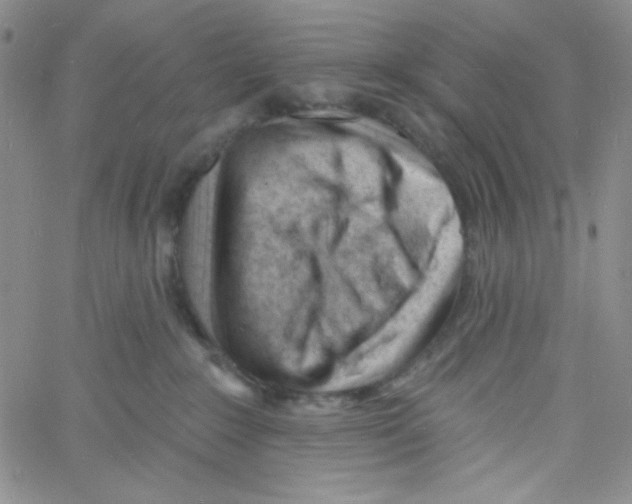 X0000060740235200512081926