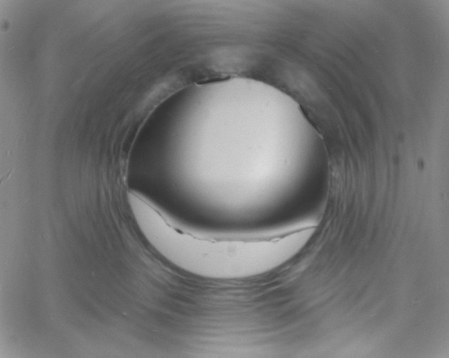 X0000060740237200512081926