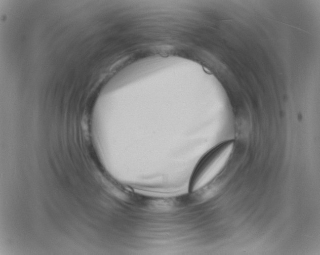 X0000060740238200512081925