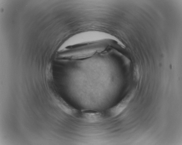 X0000060740239200512081925