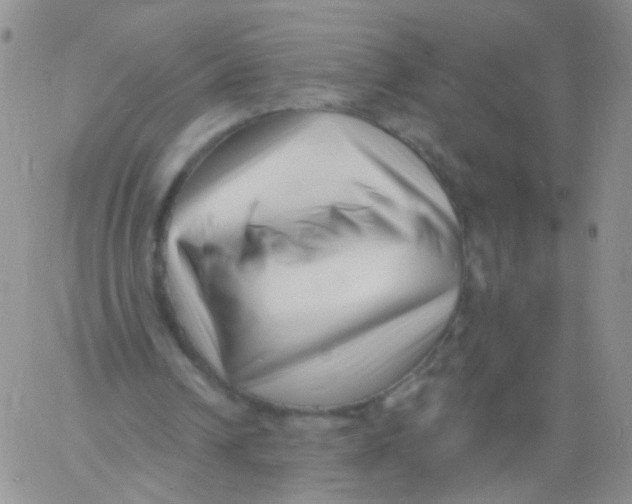 X0000060740242200512081925