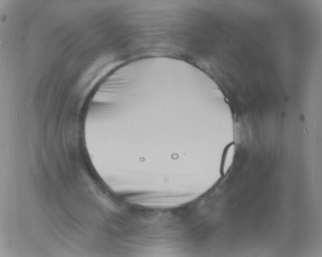 X0000060740243200512081925