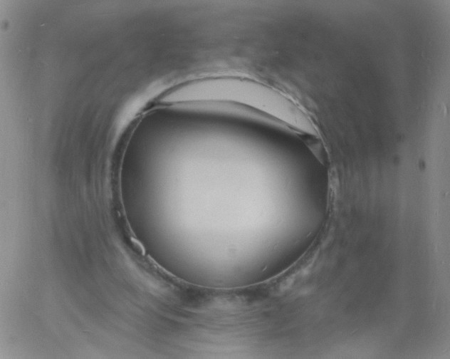 X0000060740248200512081925