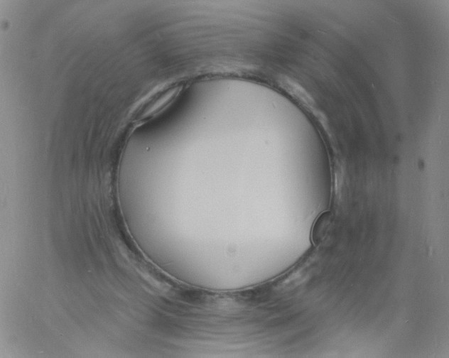 X0000060740249200512081925