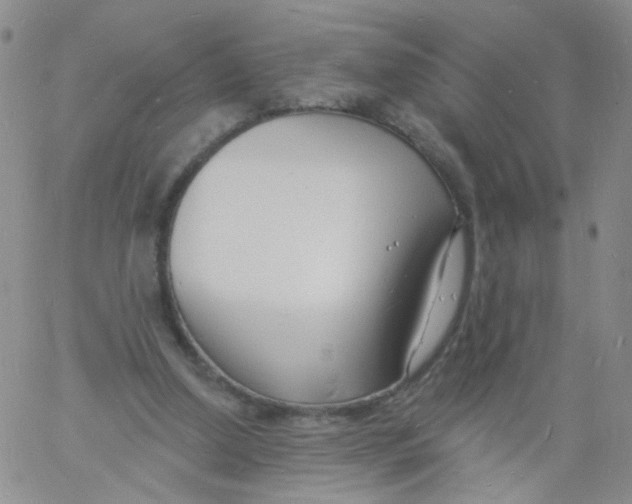 X0000060740250200512081925