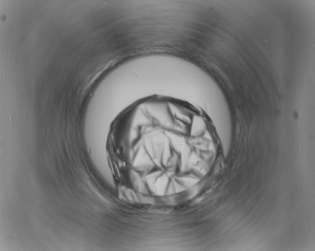 X0000060740251200512081925