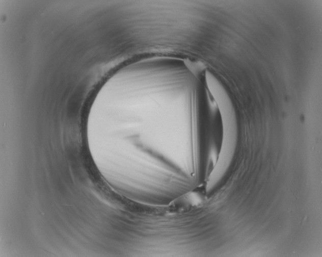 X0000060740252200512081925