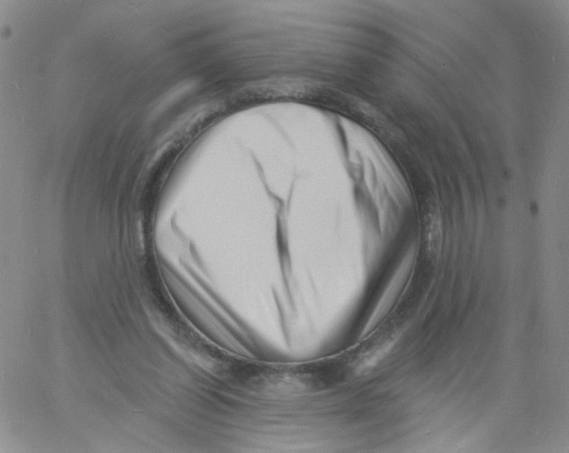 X0000060740254200512081925