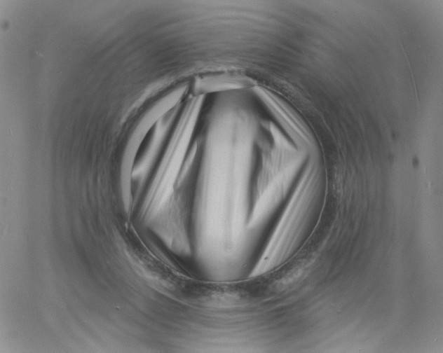 X0000060740256200512081925