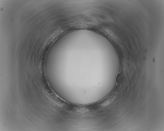 X0000060740258200512081925