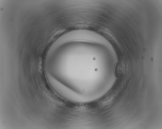 X0000060740259200512081925