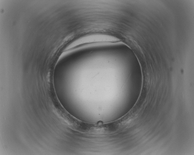 X0000060740260200512081925